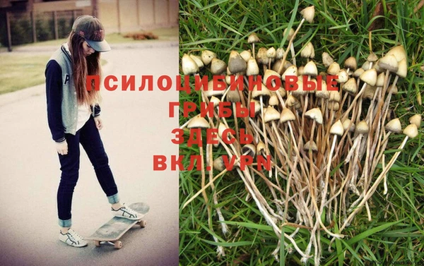 ALPHA-PVP Заволжье