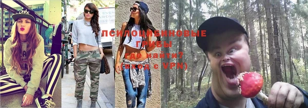 прущая мука Заводоуковск
